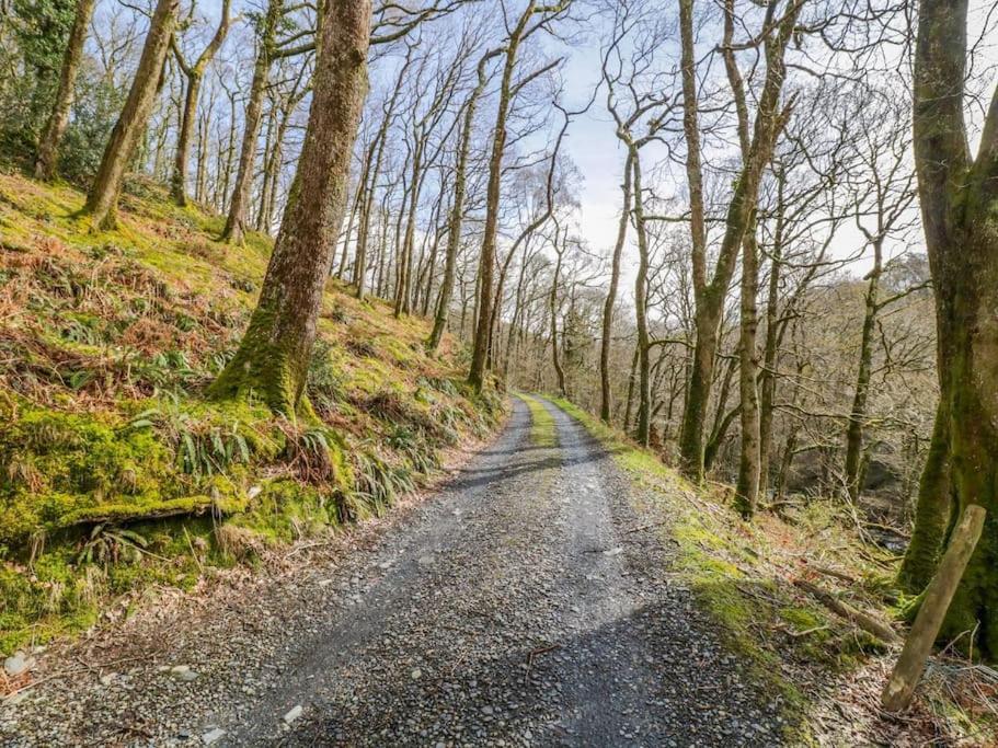 Villa Y Cwtch - Panoramic Mountain Views Within Snowdonia'S National Park - 4X4 Recommended Dolgellau Exterior foto