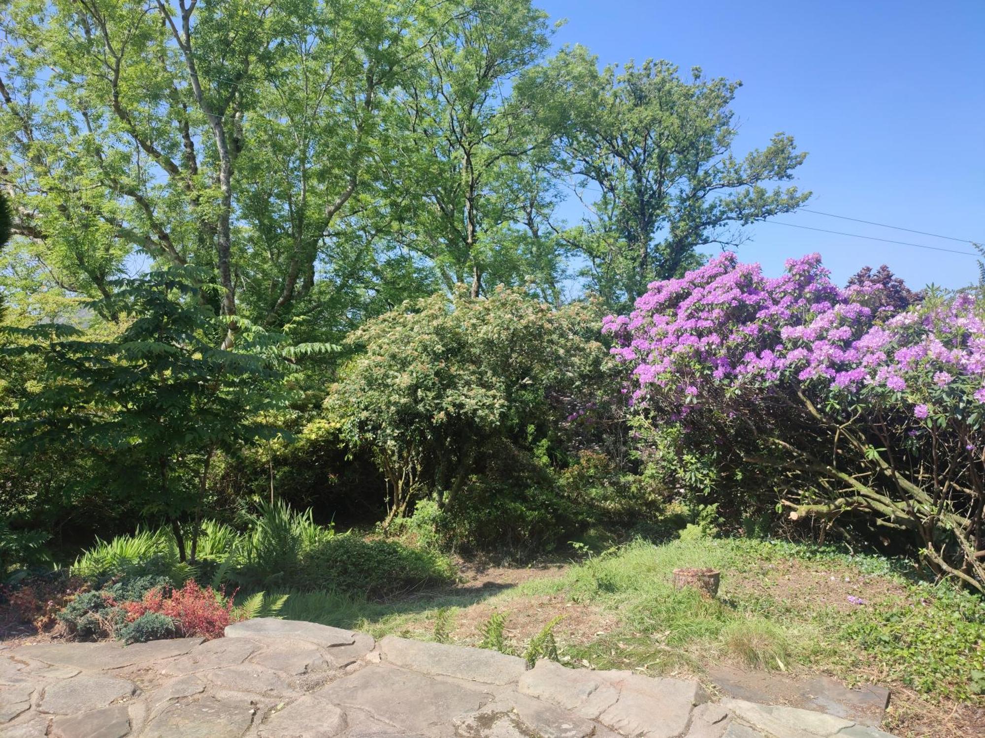 Villa Y Cwtch - Panoramic Mountain Views Within Snowdonia'S National Park - 4X4 Recommended Dolgellau Exterior foto