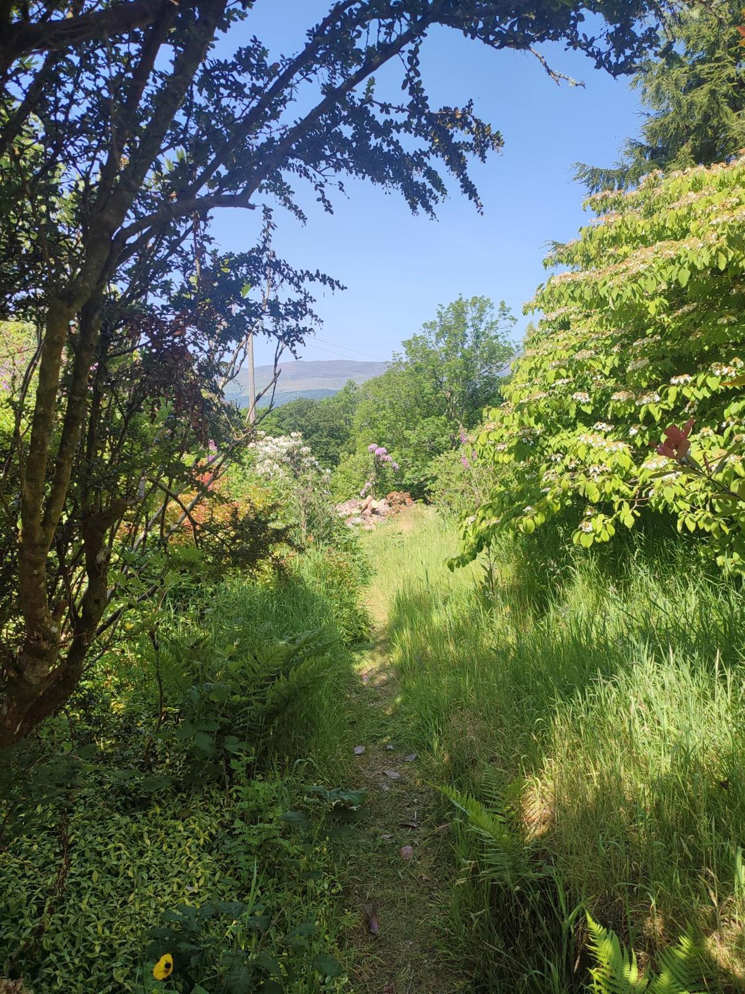 Villa Y Cwtch - Panoramic Mountain Views Within Snowdonia'S National Park - 4X4 Recommended Dolgellau Exterior foto