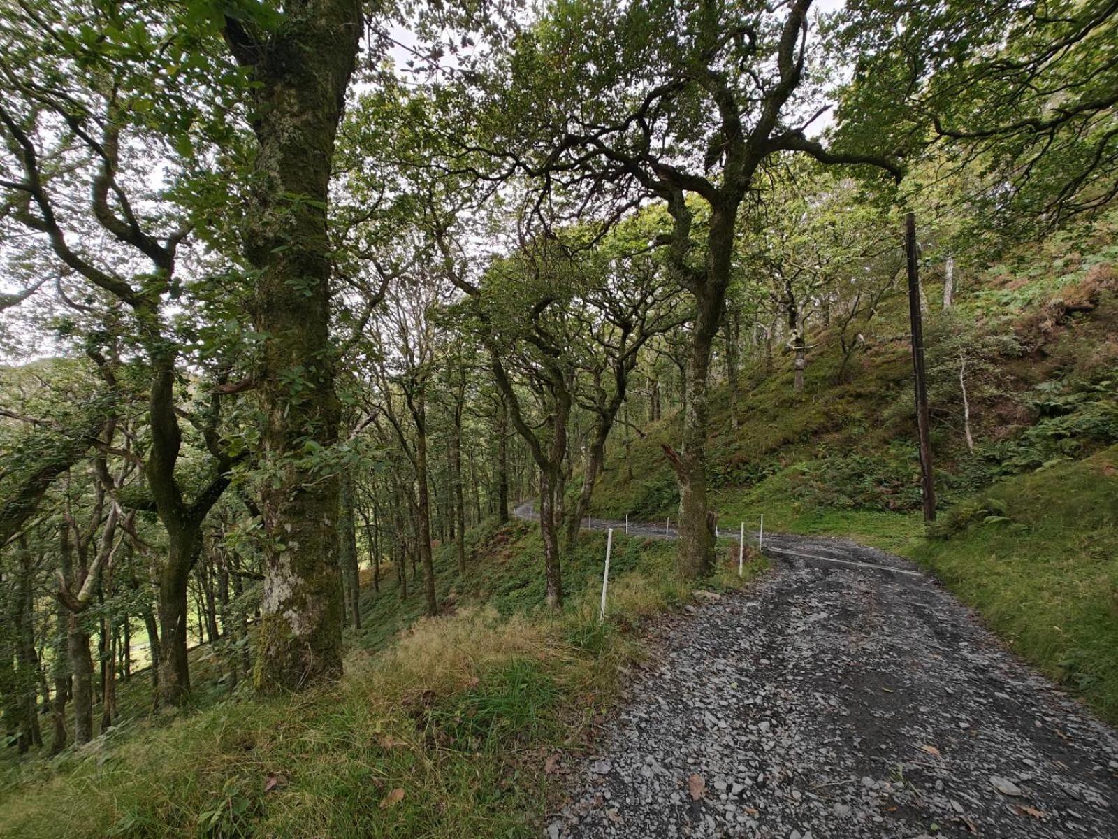 Villa Y Cwtch - Panoramic Mountain Views Within Snowdonia'S National Park - 4X4 Recommended Dolgellau Exterior foto